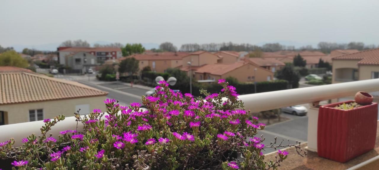 Appartement Avec Grande Terrasse A 15 Mn De La Mer Saint-Estève Buitenkant foto